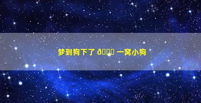 梦到狗下了 🍀 一窝小狗